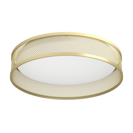 Luppineria Led Brass Ceiling Light