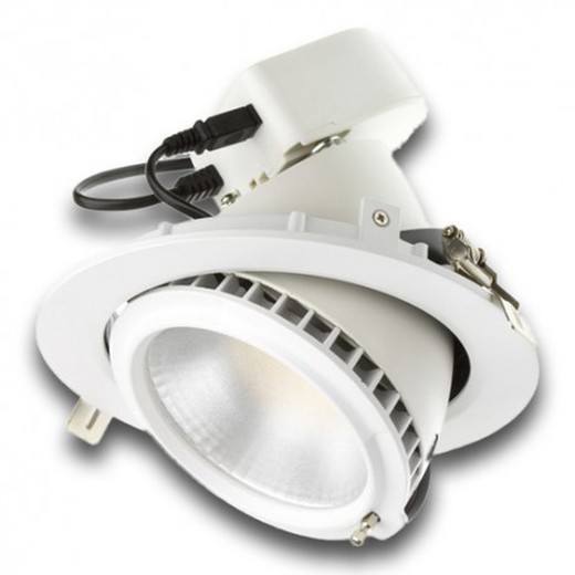 Oregon downled réglable rond 40w blanc chaud blanc