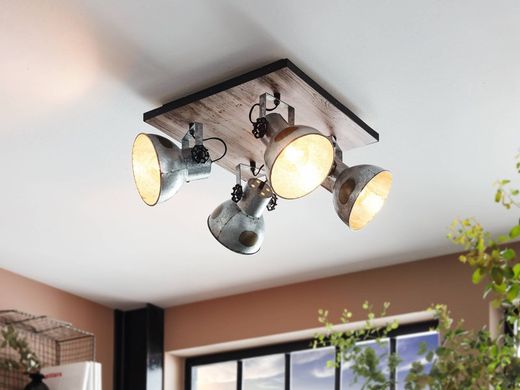 Barnstaple plafondlamp met 4 spots