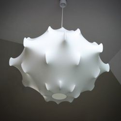 Taraxacum s1 Kokonlampe neu ed.05 eu