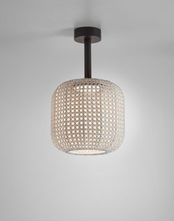 NANS PF/31 OUTDOOR plafondlamp