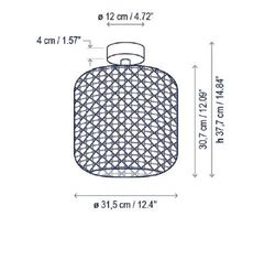 NANS PF/31 OUTDOOR plafondlamp