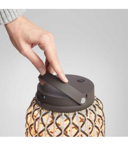 NANS M/49/R Buitenlamp op batterij