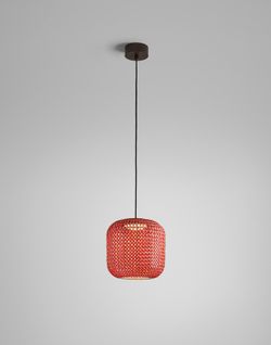 NANS S/31 OUTDOOR - SUSPENSION - DIMMABLE TRIAC - GRAPHITE BROWN