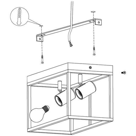 Silentina 2-lichts zwarte plafondlamp