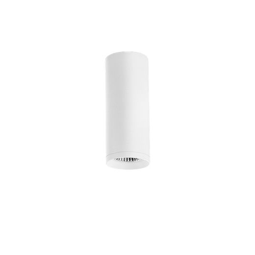 Top 30º 3000K Ceiling Light