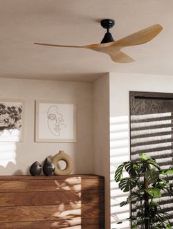 Mattschwarzer Deckenventilator PORTSEA