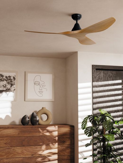 Mattschwarzer Deckenventilator PORTSEA
